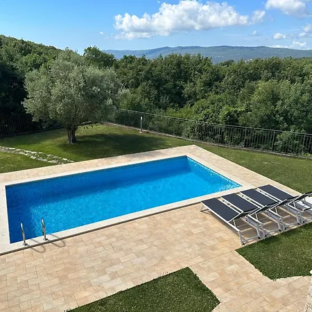 Apartman Vicani